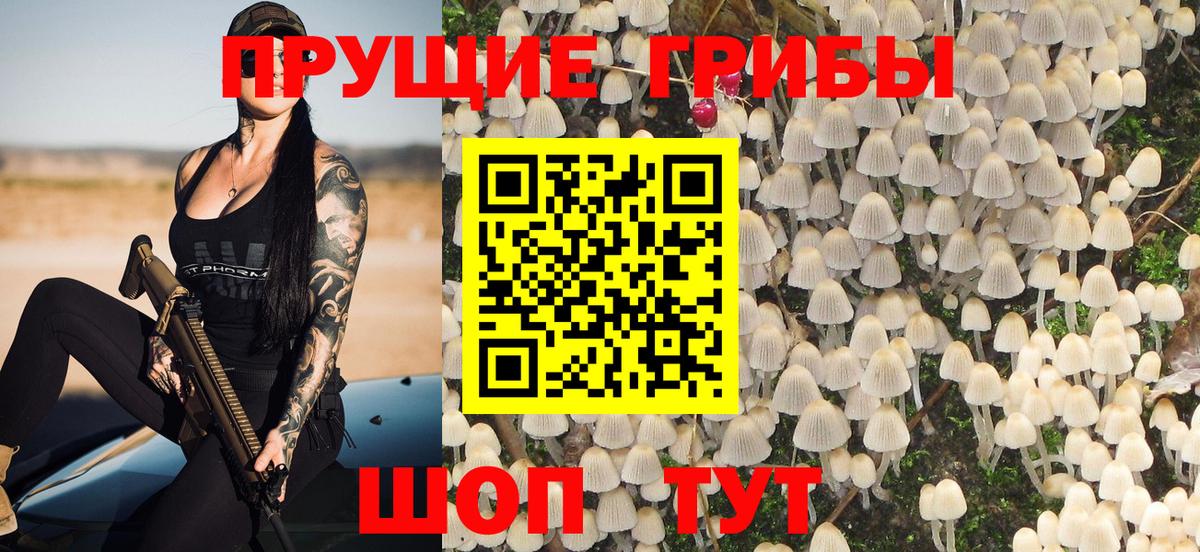 Галлюциногенные грибы мухоморы Ставрополь