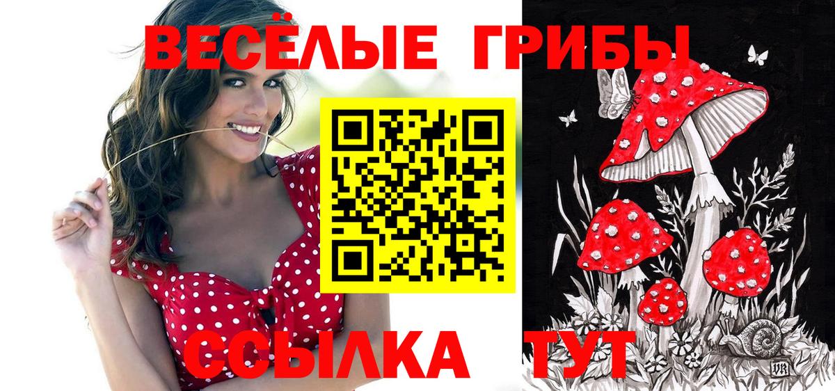 Псилоцибиновые грибы прущие грибы  Вход с VPN  Ставрополь 