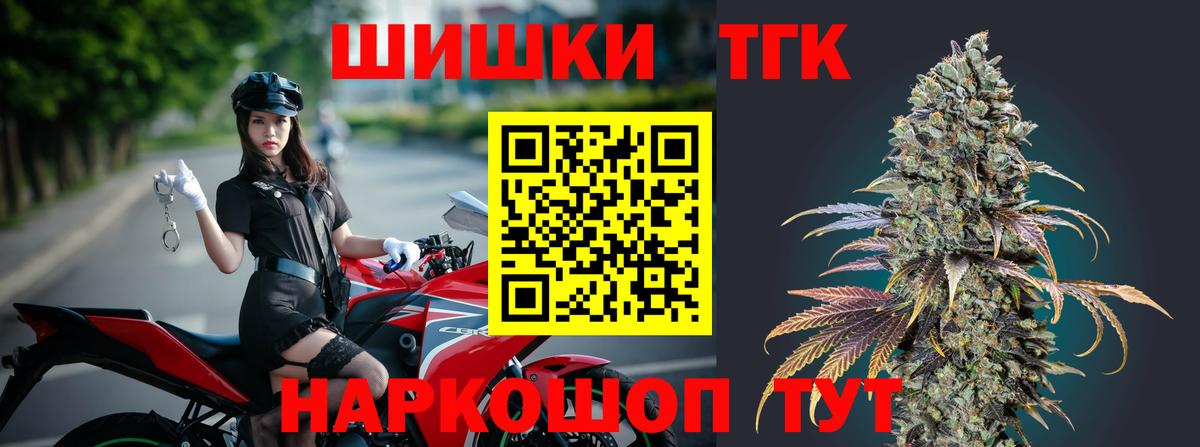 Шишки марихуана конопля  Марихуана план  Вход с VPN  Ставрополь 